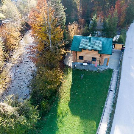 Ferienwohnungen Blockhaus - Zwergenhaeusl Grünau im Almtal エクステリア 写真