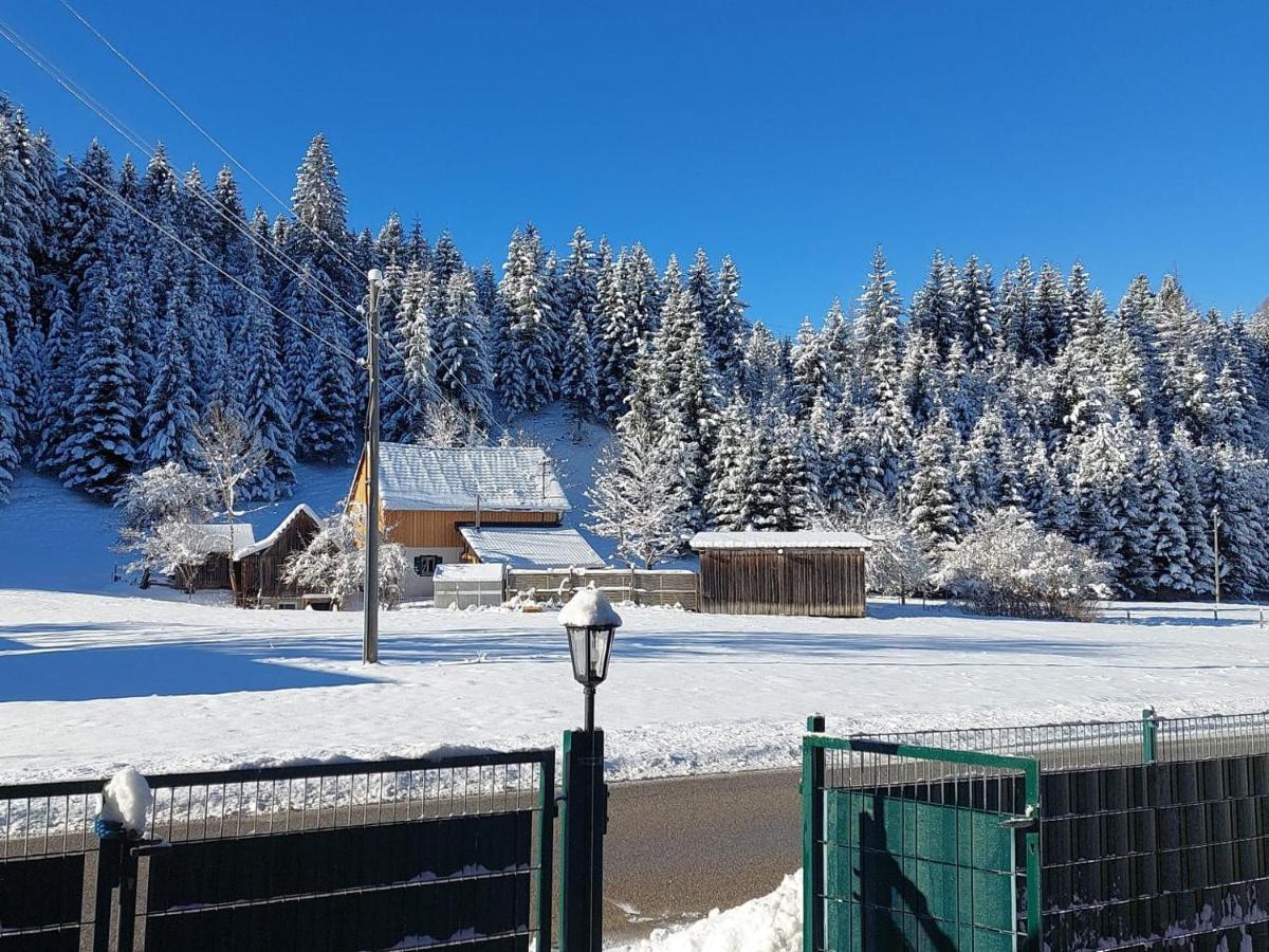 Ferienwohnungen Blockhaus - Zwergenhaeusl Grünau im Almtal エクステリア 写真