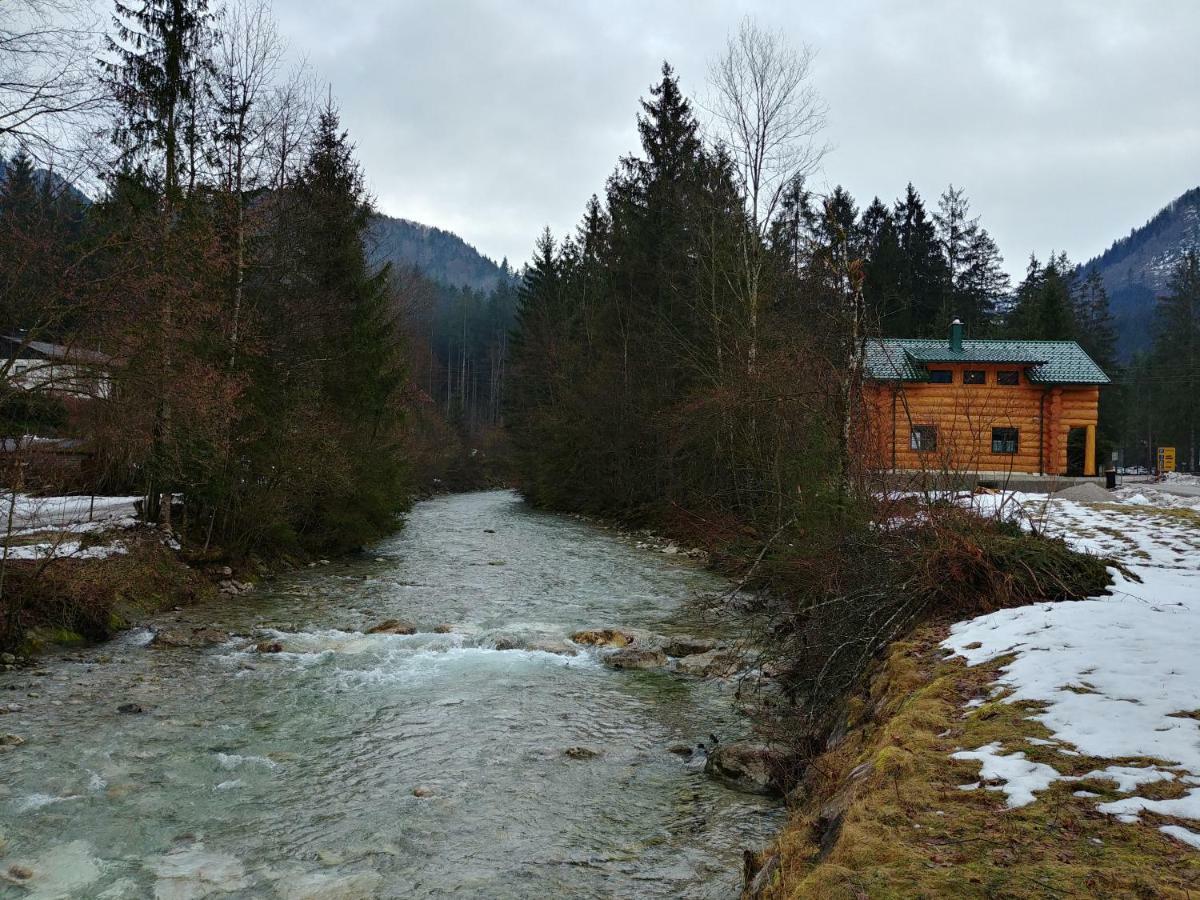 Ferienwohnungen Blockhaus - Zwergenhaeusl Grünau im Almtal エクステリア 写真