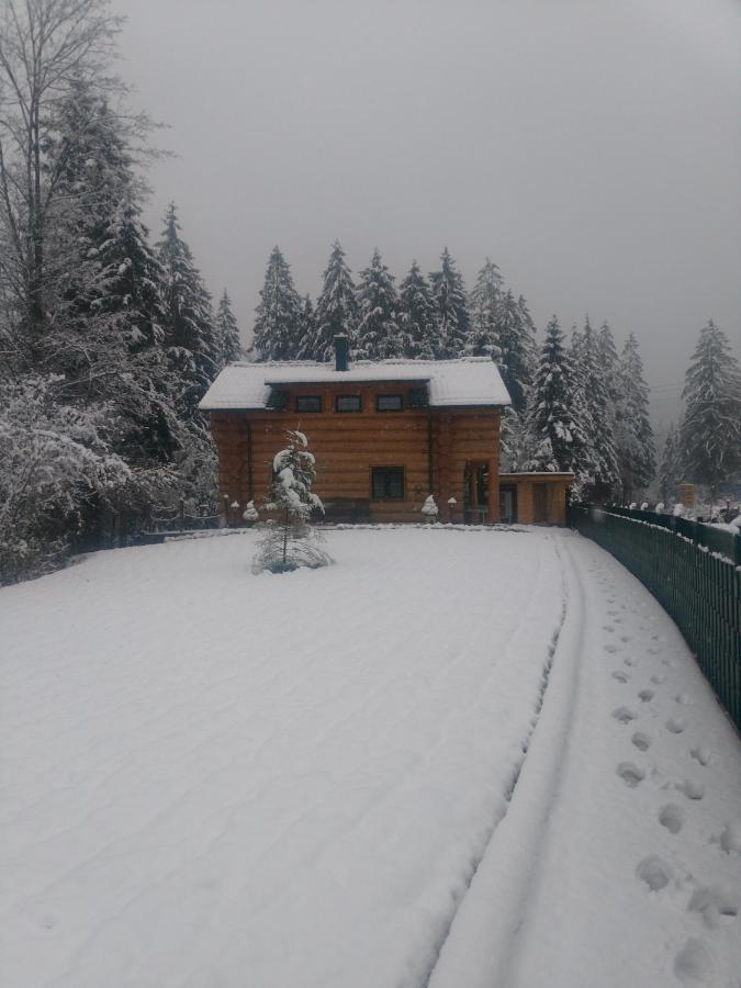 Ferienwohnungen Blockhaus - Zwergenhaeusl Grünau im Almtal エクステリア 写真